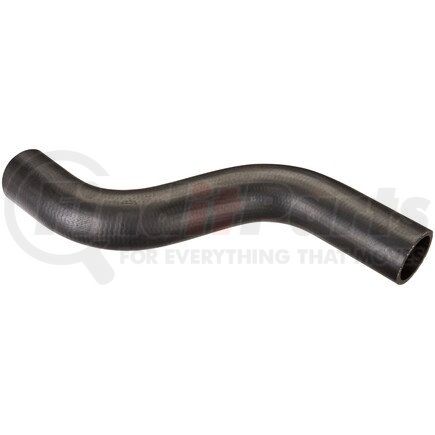 Spectra Premium FNH151 Fuel Filler Hose