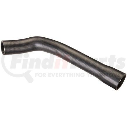 Spectra Premium FNH179 Fuel Filler Hose