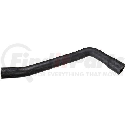 Spectra Premium FNH239 Fuel Filler Hose
