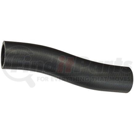 Spectra Premium FNH241 Fuel Filler Hose