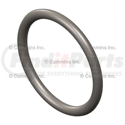 Cummins 193734 Fuel Injector O-Ring