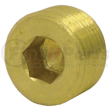Tectran 118-C Air Brake Pipe Head Plug - Brass, 3/8 inches Pipe Thread, Counter Sunk Hex Head