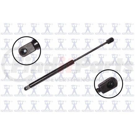 FCS Struts 84131 84131