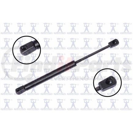 FCS Struts 84145 84145