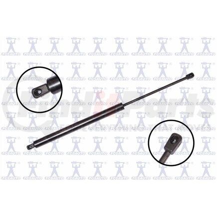 FCS Struts 84203 84203