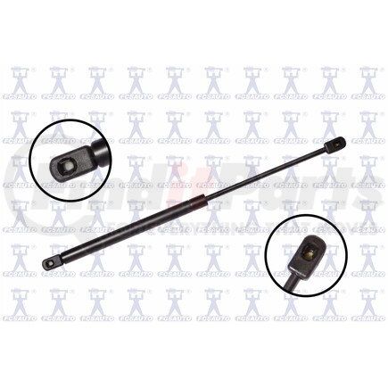 FCS Struts 84515