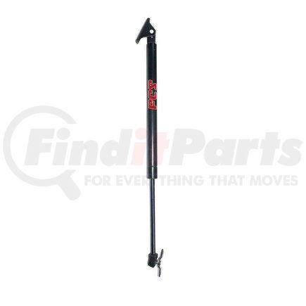 FCS Struts 84598 84598