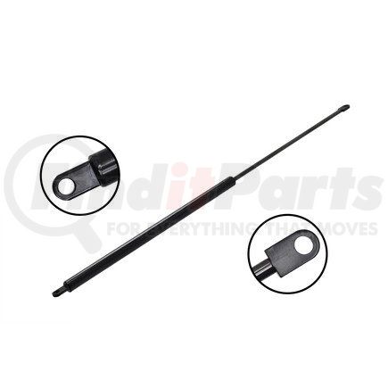 FCS Struts 84877 Liftgate Lift Support