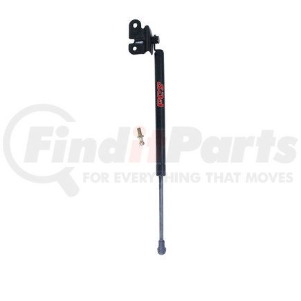 FCS Struts 84913 84913