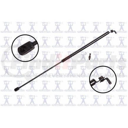 FCS Struts 84919 84919