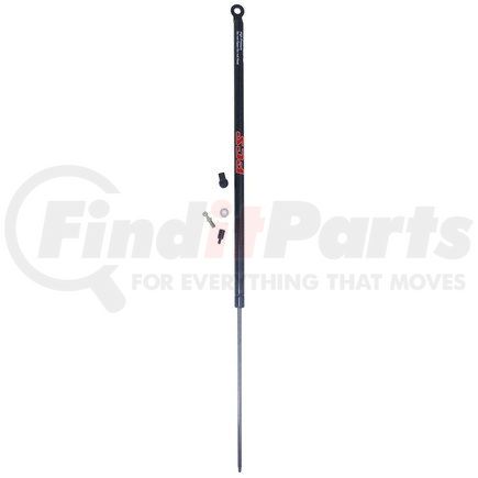 FCS Struts 86229 Liftgate Lift Support