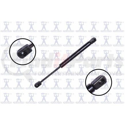 FCS Struts 86418 86418