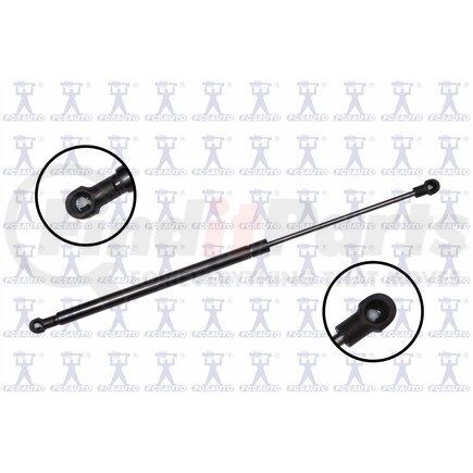 FCS Struts 86482 Back Glass