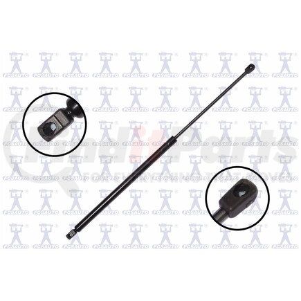 FCS Struts 86780 Liftgate Lift Support