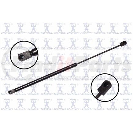 FCS Struts 86869 Back Glass