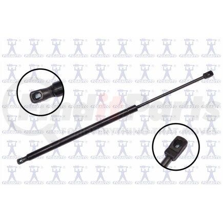 FCS Struts 86881 Liftgate