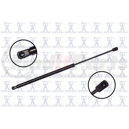 FCS Struts 87047 Lift Gate