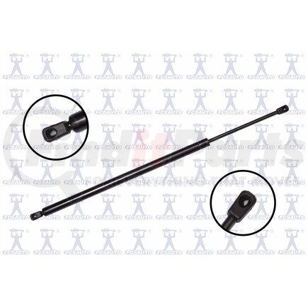 FCS Struts 87061 Lift Gate