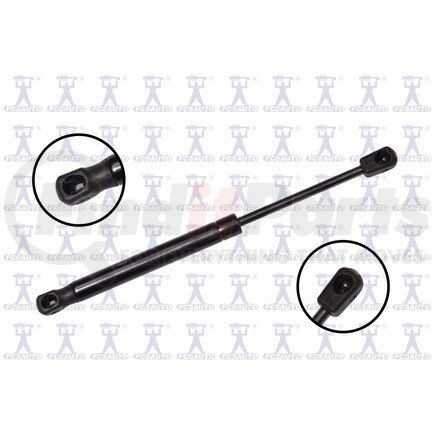 FCS Struts 87079 Trunk