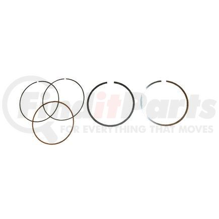 CRP 99610305304 99610305304