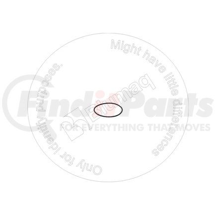 Blumaq 855661050 Seal O-ring