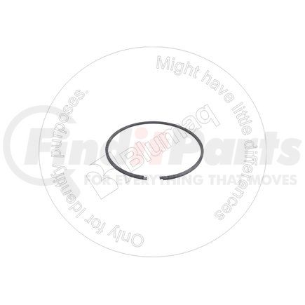 Blumaq 9F7383 Multi-Purpose Seal Ring - Steel, 122.94 mm. OD