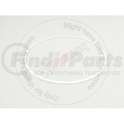 Blumaq 9G0286 Multi-Purpose Seal Ring - Plastic, 308 mm. ID, Internal Lip Type