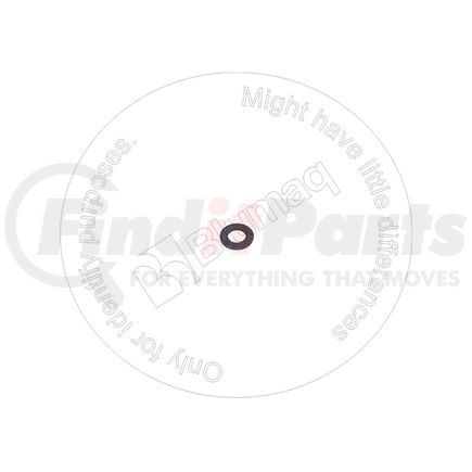 Blumaq 02300-01320 Washer