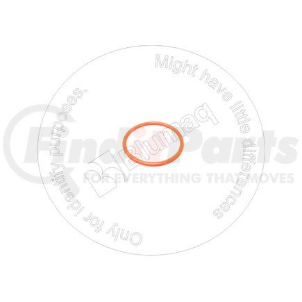 Blumaq 07000-63042 SEAL O-RING