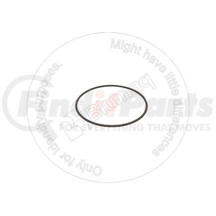 Blumaq 2594598 Seal O-ring