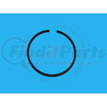 Blumaq 2S5301 Multi-Purpose Seal Ring - Steel, 117.48 mm. OD