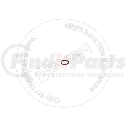 Blumaq 3176025 Seal O-ring
