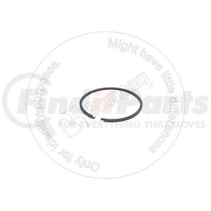 Blumaq 3844799 Multi-Purpose Seal Ring