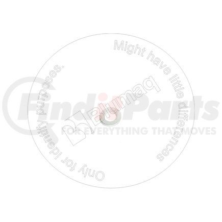 Blumaq 3939823 Washer
