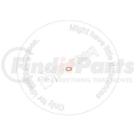 Blumaq 4264357 Washer