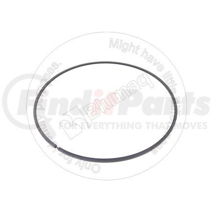 Blumaq 5M6141 Multi-Purpose Seal Ring - Steel, 317.5 mm. OD