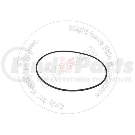 Blumaq VO925286 Seal O-ring