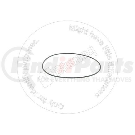 Blumaq VO942972 Seal O-ring