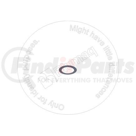 Blumaq FI5194164 Washer - Fit for Various Applications