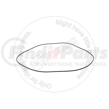 Blumaq LI10423490 Seal Ring