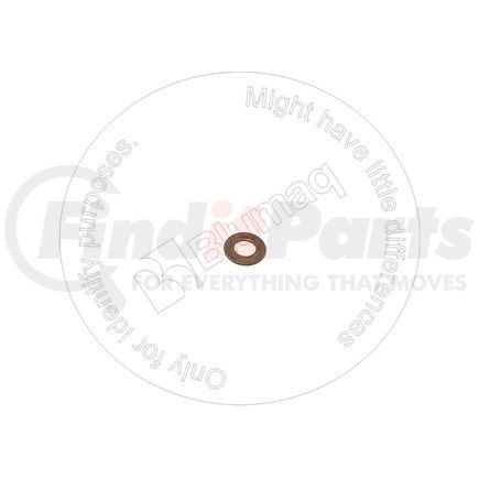 Blumaq PZF802070010 Washer