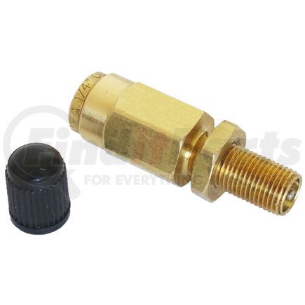 Torque Parts TR14IV Air Inflation Schrader Valve, for 1/4" OD Air Line Tubing, with PTC (Push to Connect)
