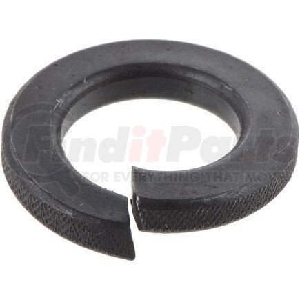 Dana 090417 Axle Nut Washer - 0.56-0.57 in. ID, 0.96 in. Major OD, 0.14 in. Overall Thickness