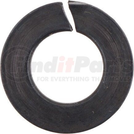 Dana 090419 Axle Nut Washer - 0.25 in. ID, 0.48 in. Major OD, 0.04 in. Overall Thickness