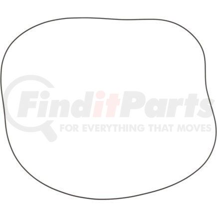 Dana Spicer 107945 - DANA ORIGINAL OEM, O - RING | FinditParts