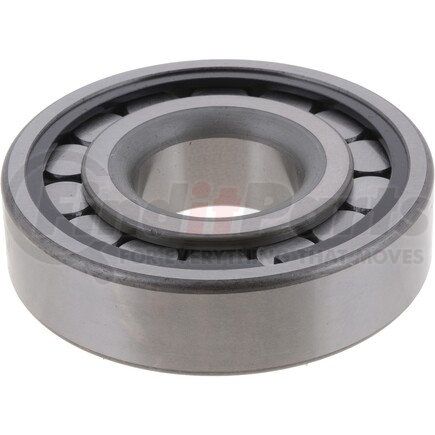 Differential Pilot Bearing