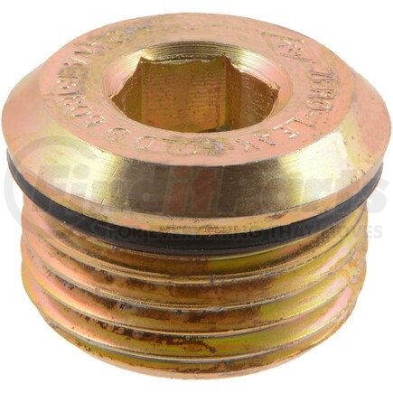 Dana 131809 Multi-Purpose O-Ring - Steel, 0.17 in. Thick, M24 x 2-6G Thread