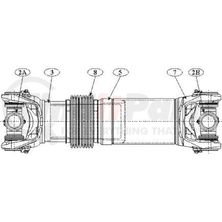 Dana 170DS55002C-200M Drive Shaft