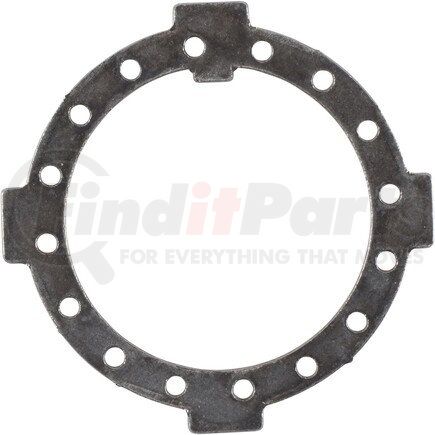 Dana 621028B Washer - with 16 Holes