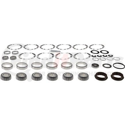 Dana 216220-1 Axle Differential Bearing and Seal Kit - Overhaul, Before June 2008